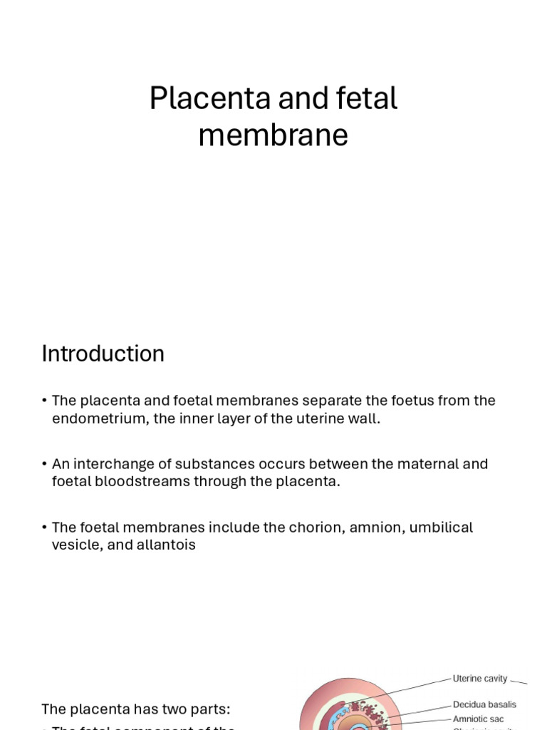 Placenta and Fetal Membrane | PDF | Placenta | Twin