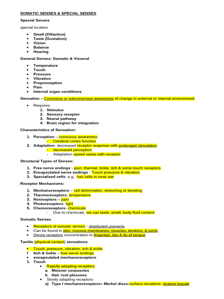 Somatic Senses and Sensory Nerves | PDF | Senses | Somatosensory System