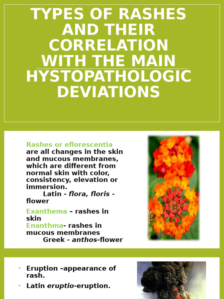 Types of Rashes | PDF | Epidermis | Skin