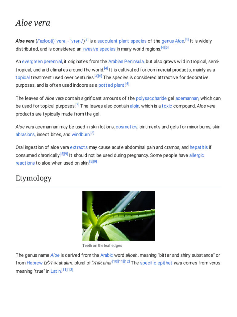 Aloe Vera - Wikipedia | PDF