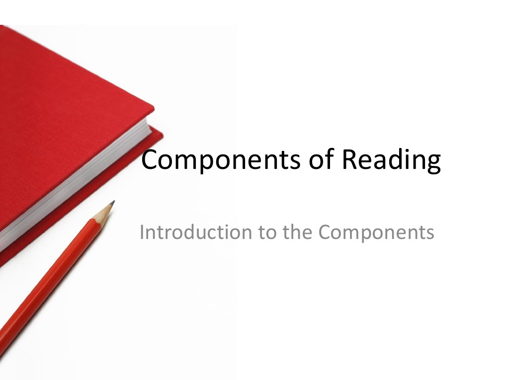 Components of Reading Intro PDF