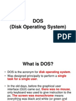 DOS (Disk Operating System)