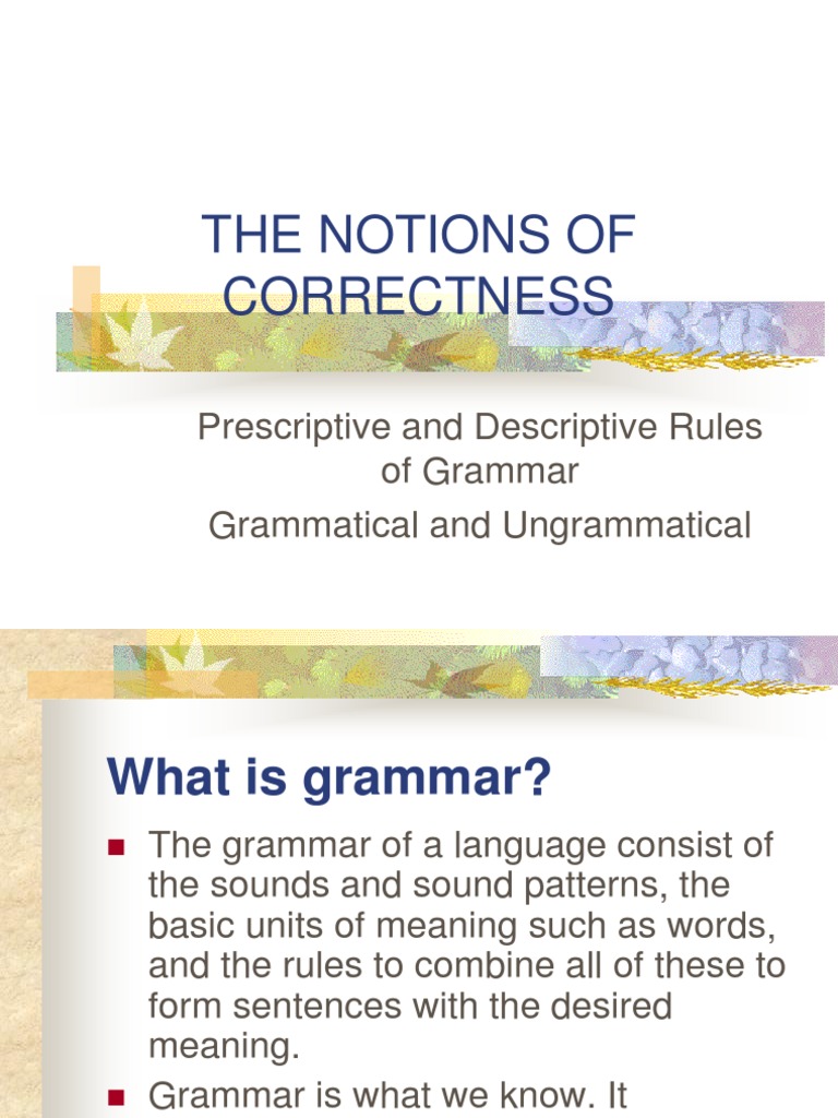 Understanding Grammatical Correctness | PDF | Style (Fiction) | Grammar