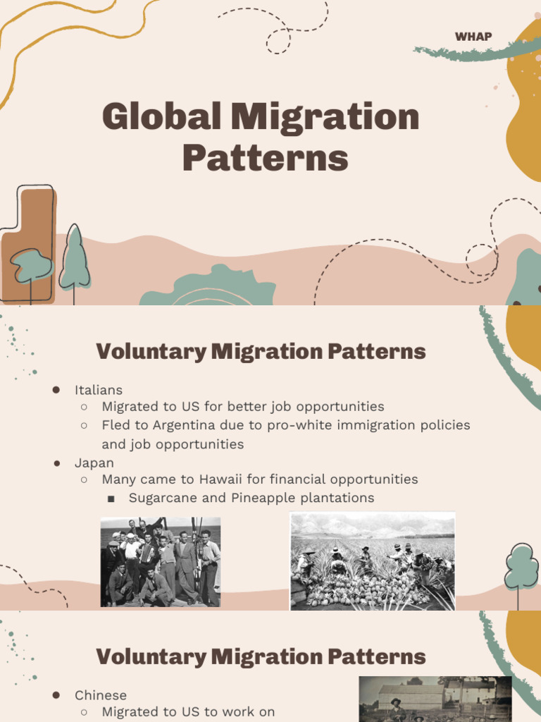 Global Migration Patterns | PDF
