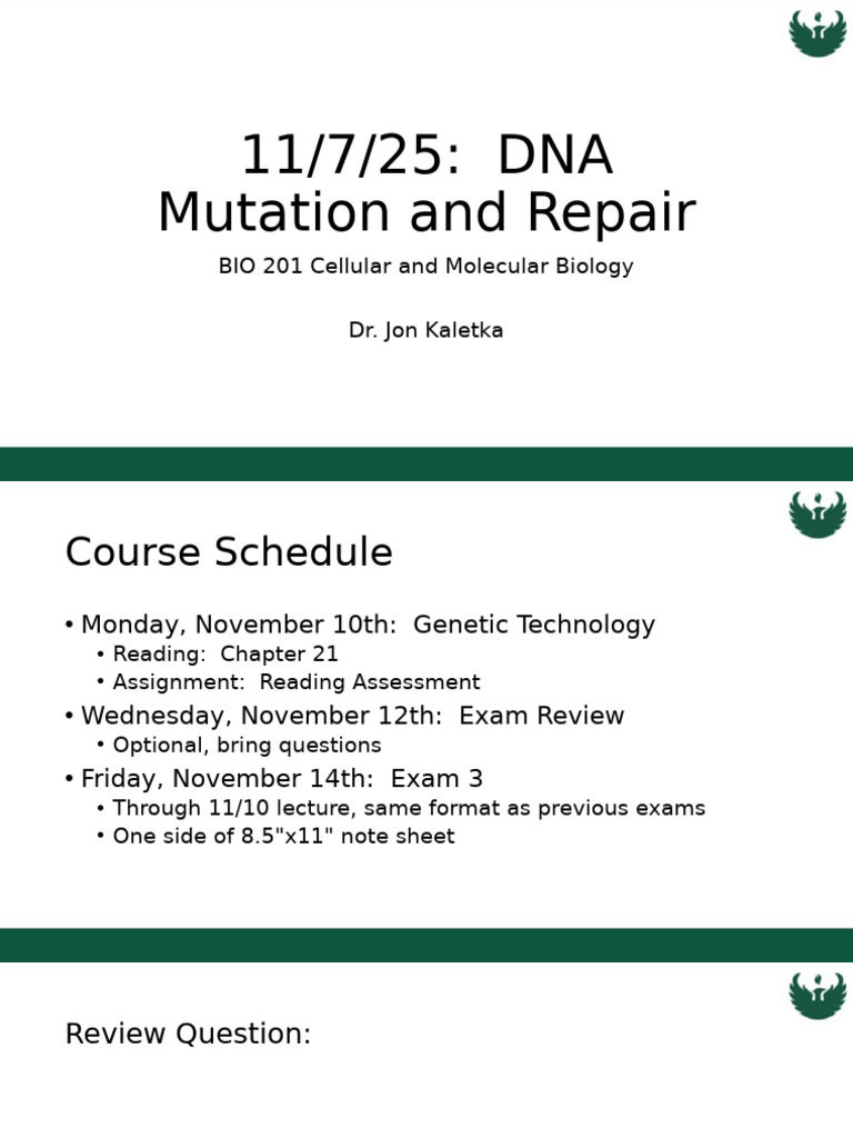 11.07.25 DNA Mutation and Repair INITIAL | PDF | Mutation | Dna Repair