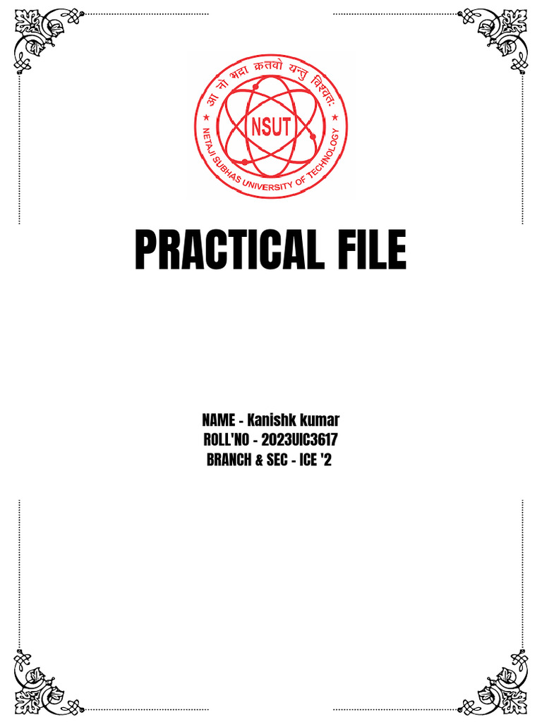 Practical File | PDF
