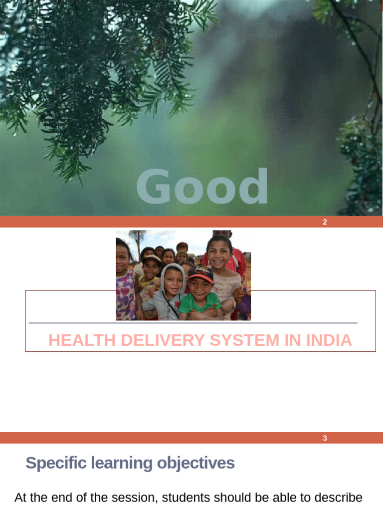 Health Delivery System in India | PDF | Public Health | Health Economics
