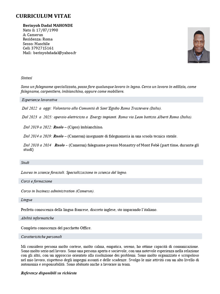 Curriculum Vitae Italiano | PDF