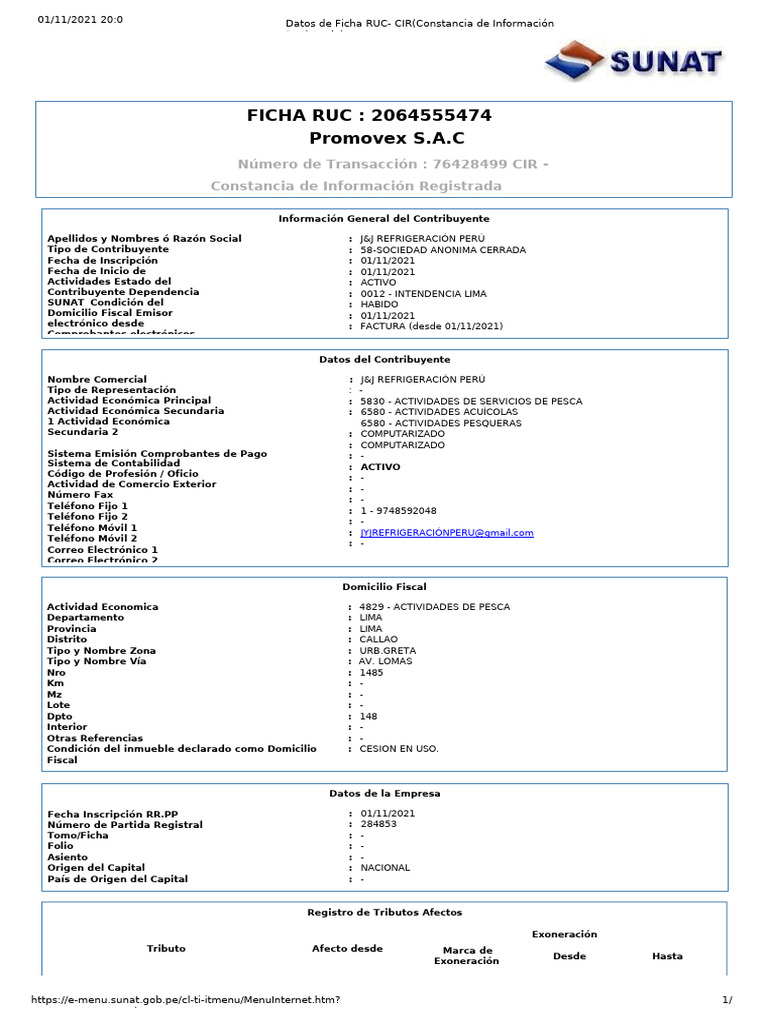 Ficha Ruc - Promovex | PDF
