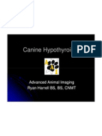 Canine Hypothyroidism Canine Hypothyroidism