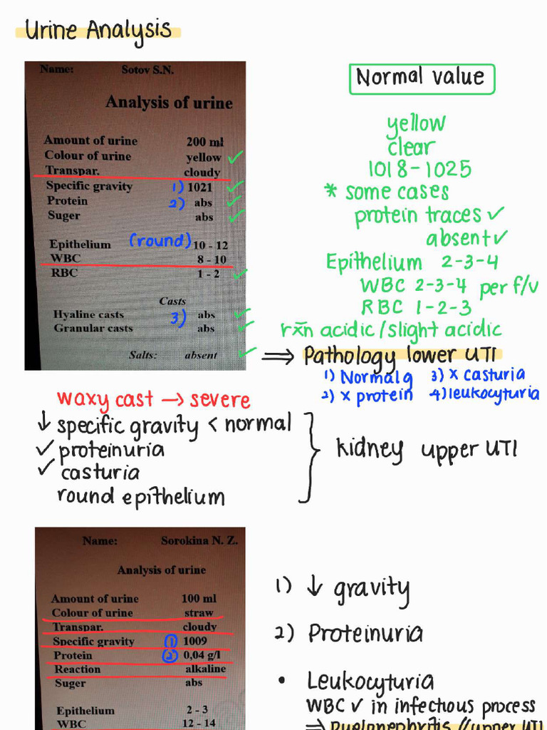 Urine Analysis | PDF