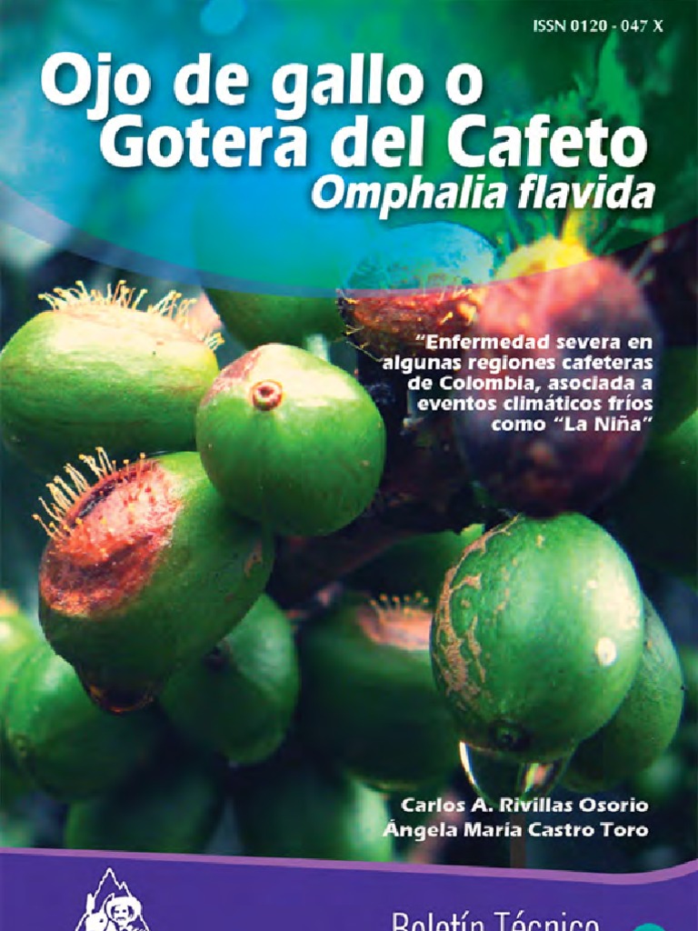 201110 Cenicafeboletin 37 Ojo de Gallo o Gotera en Cafe