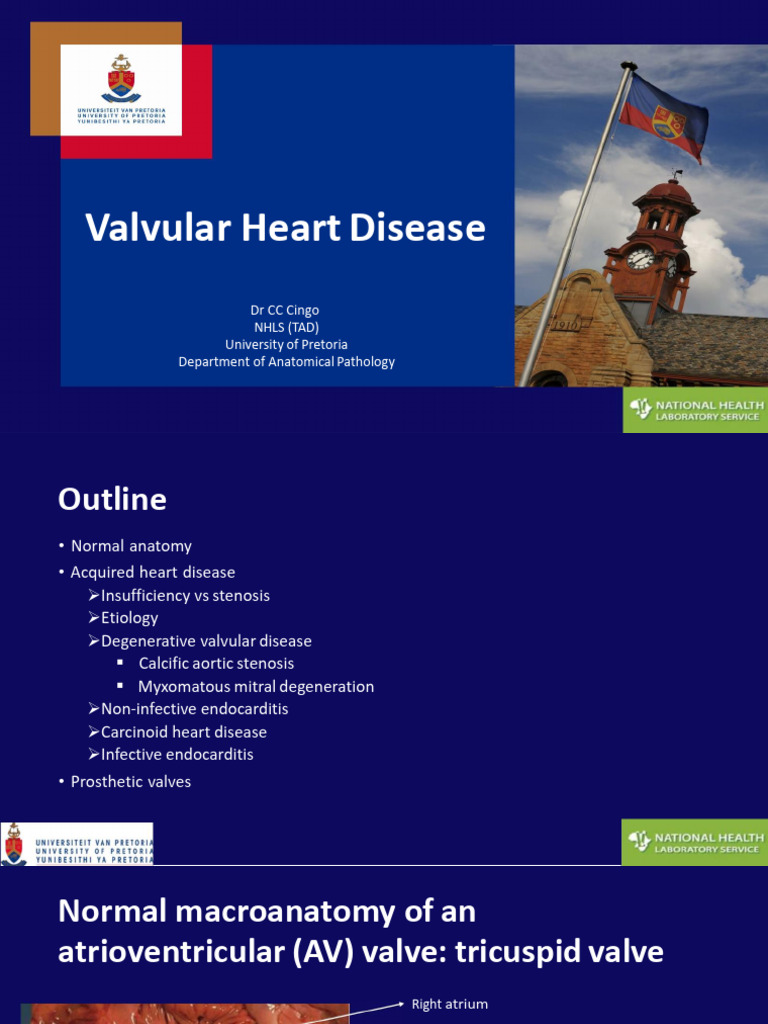 6.valvular Heart Disease | PDF | Heart Valve | Heart