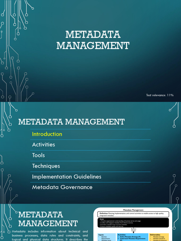 Metadata Management | PDF | Metadata | Data
