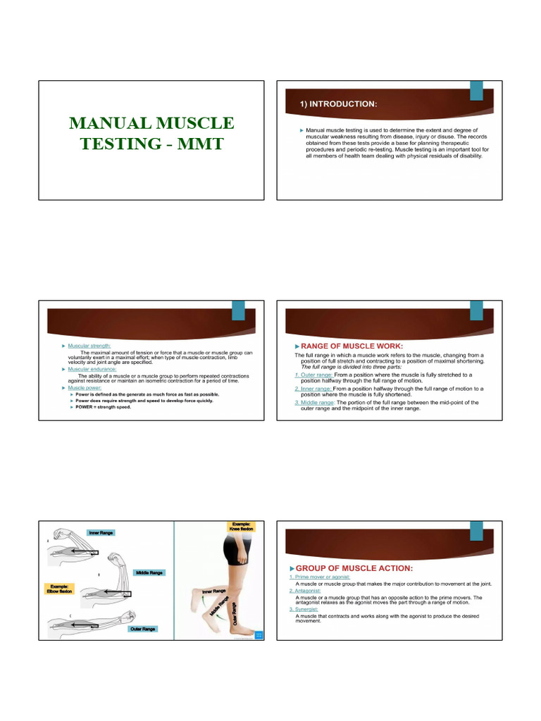 MMT Manual Muscle Testing 6冊セット Manual Muscle Test (MMT) - 20250506 - 100743-1 | PDF