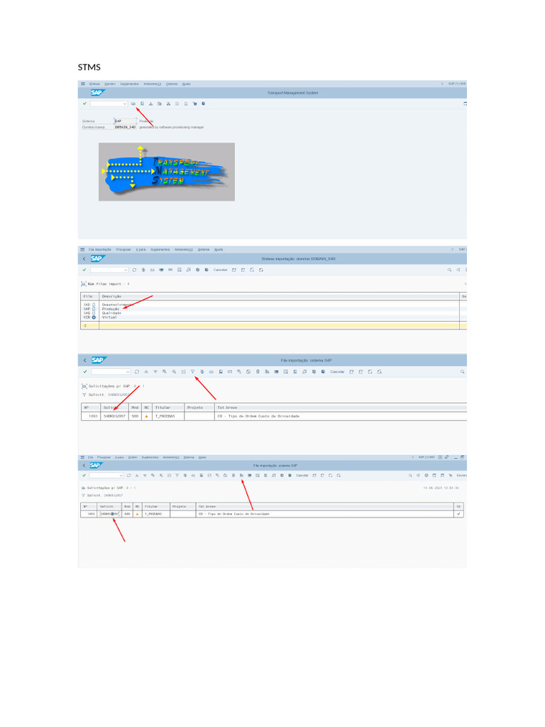 STMS | PDF