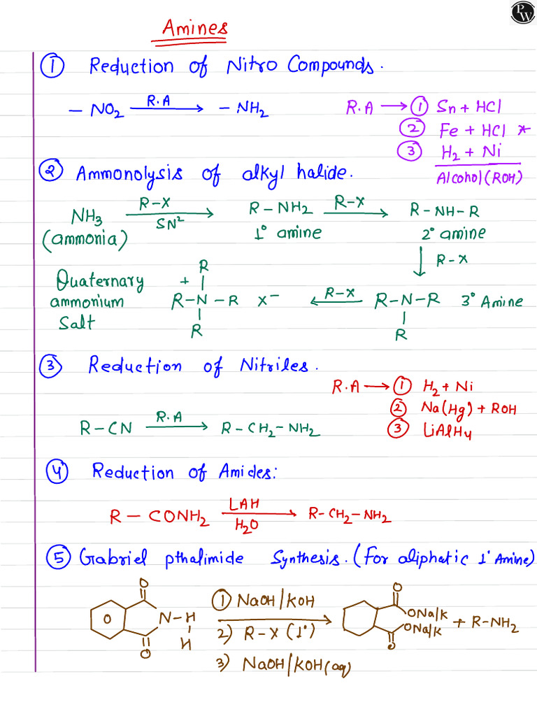 Amines | PDF | Amine | Chemistry