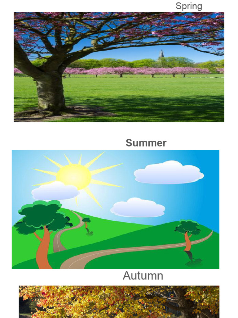 Flash Card | PDF