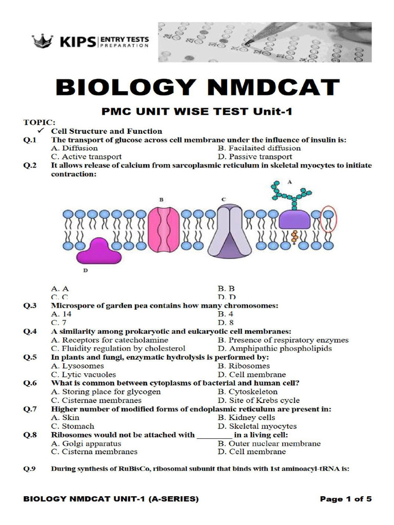 KIPS CTS 2021 BIOLOGY UNIT - 01 Cell Structure and Function | PDF