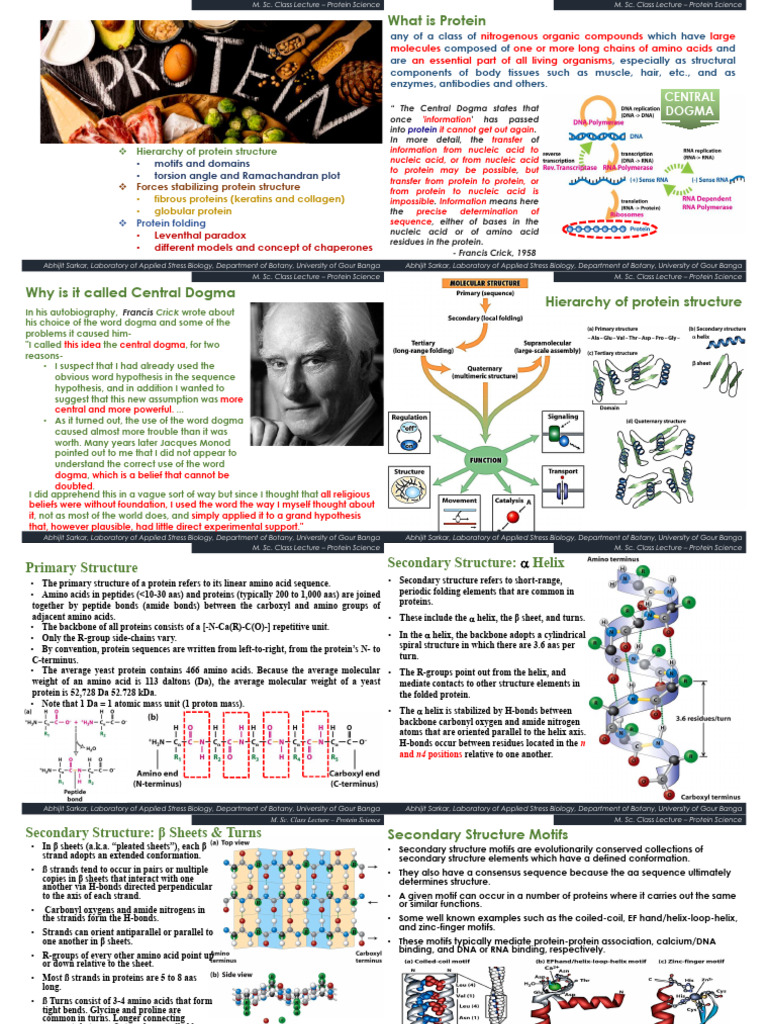 Protein Science - MSC Class Lecture - 11 November 2025 (N-Up 2x2) | PDF ...