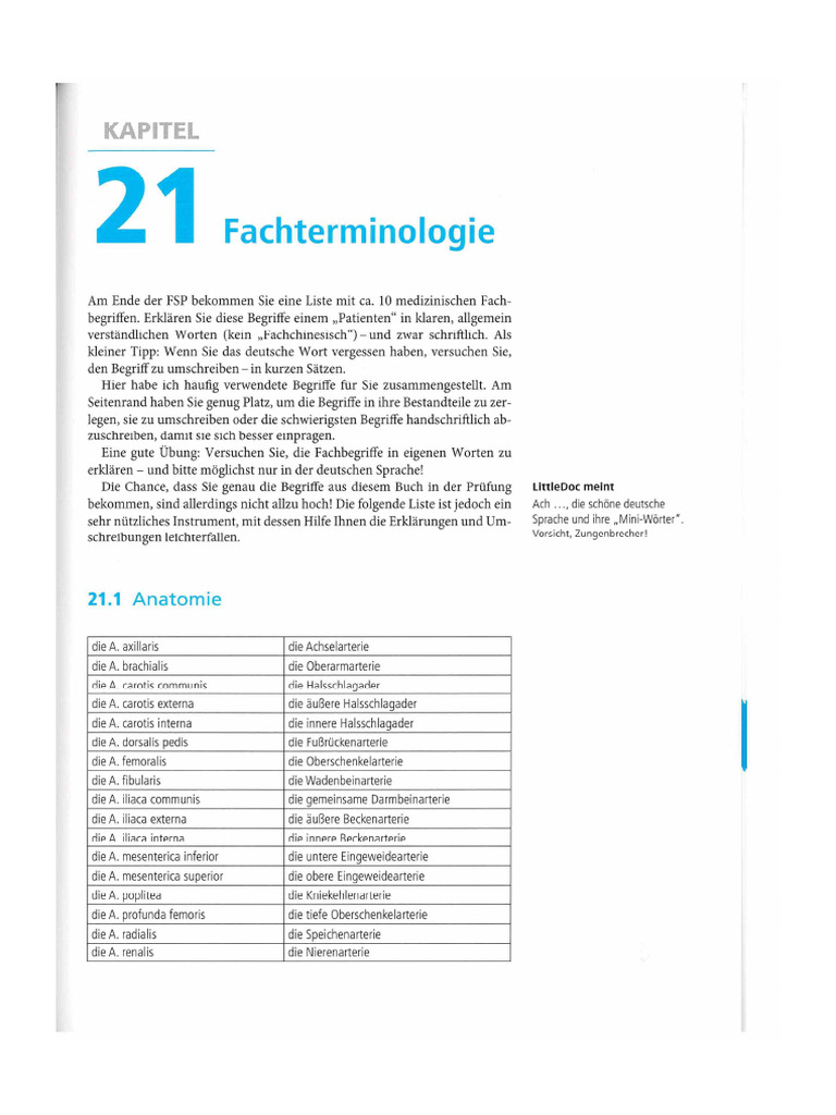 Fachbegriffe | PDF