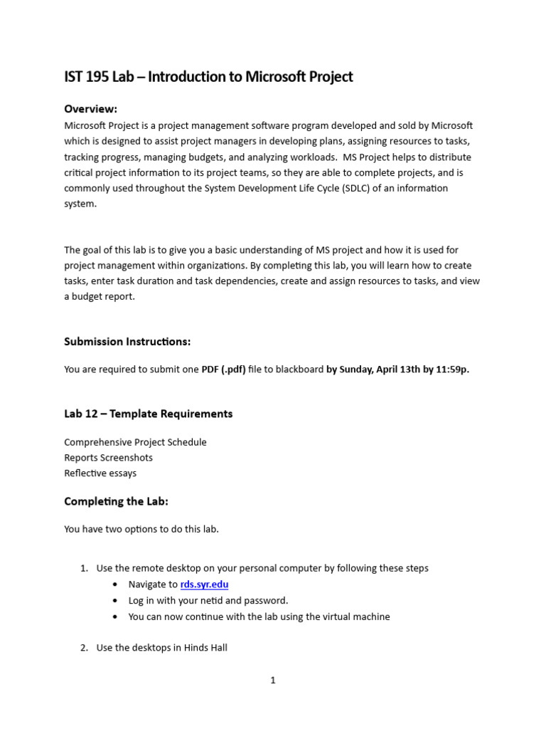 MS - Project - Lab - Instructions - Spring 2025 | PDF | Software ...