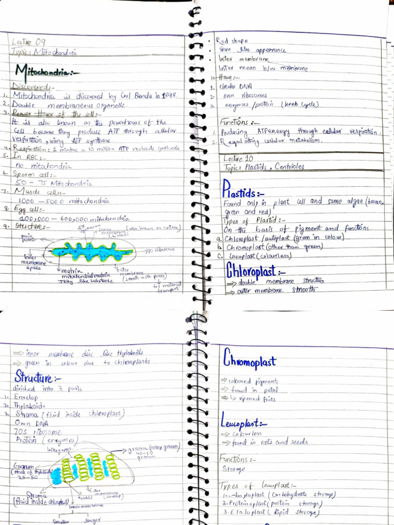 Chapter 01 Cell and Sub-cellular Organelles | PDF
