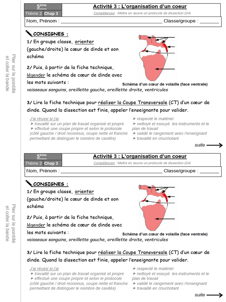5emechap3 Act2 ELEVE v2 Dissection Coeur | PDF | Sang | Ventricule ...