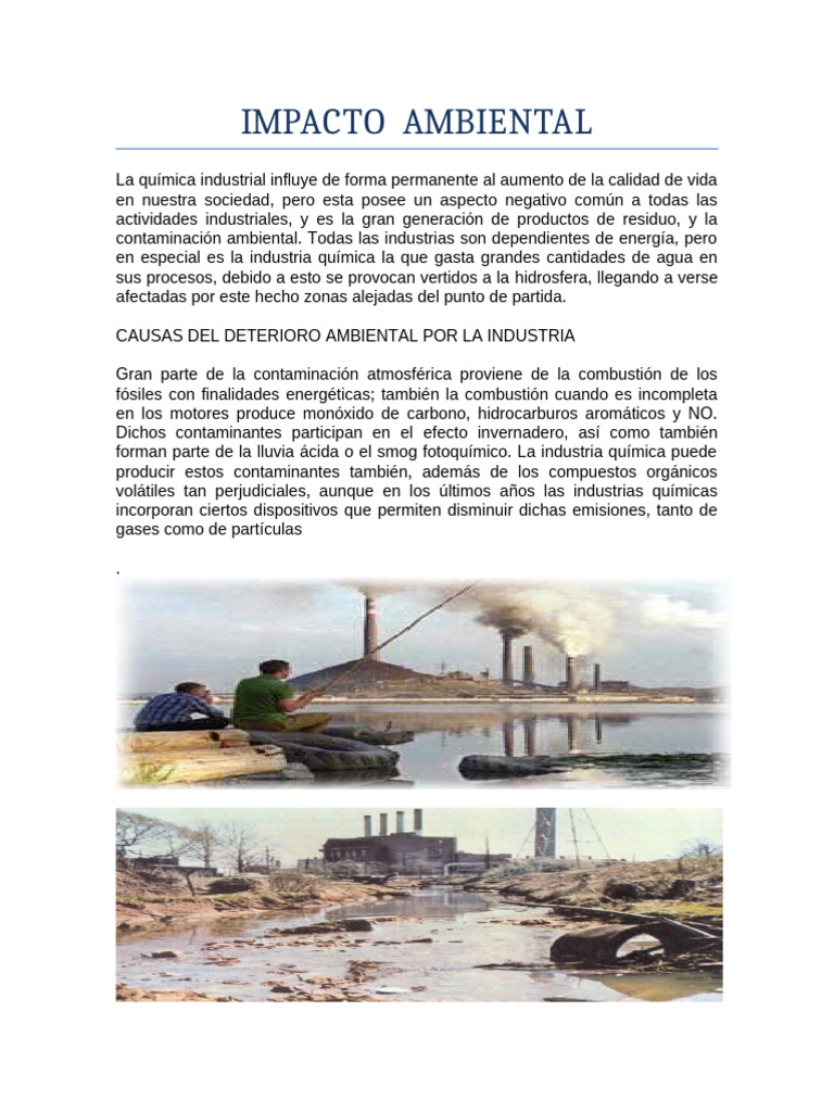 Impacto Ambiental | PDF | Contaminación | Entorno natural