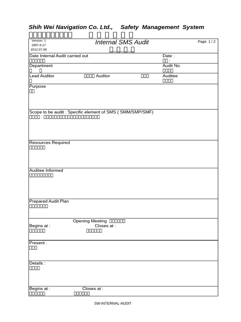 SW Intrnal Audit | PDF