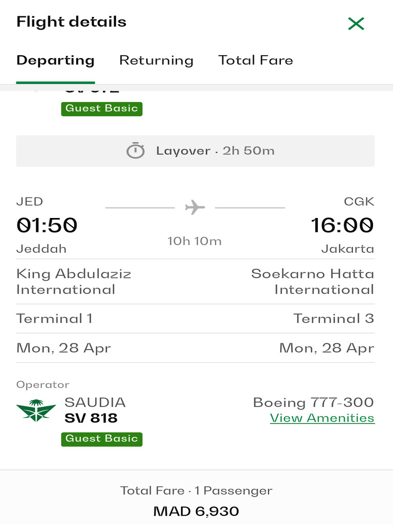 Passenger Information Saudia Airlines 2 | PDF