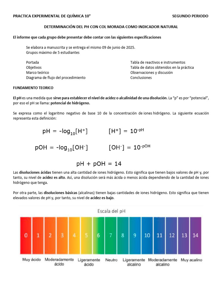 Determinación Del PH Con Col Morada Como Indicador Natural | PDF | Ph ...