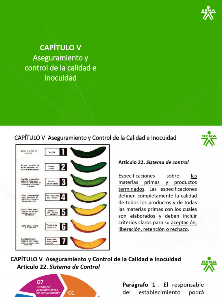 Cap 5 Aseguramiento y Control de Calidad | PDF