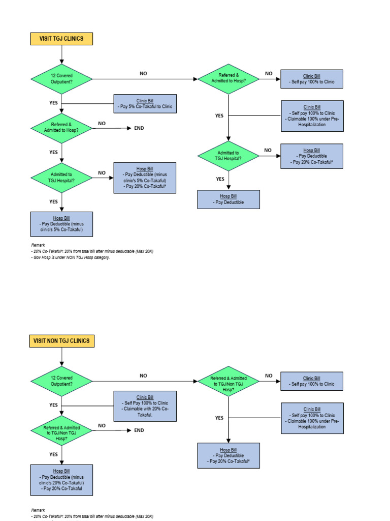 MediEvolusi TGJ FlowChart (1) | PDF | Health Care | Social Programs