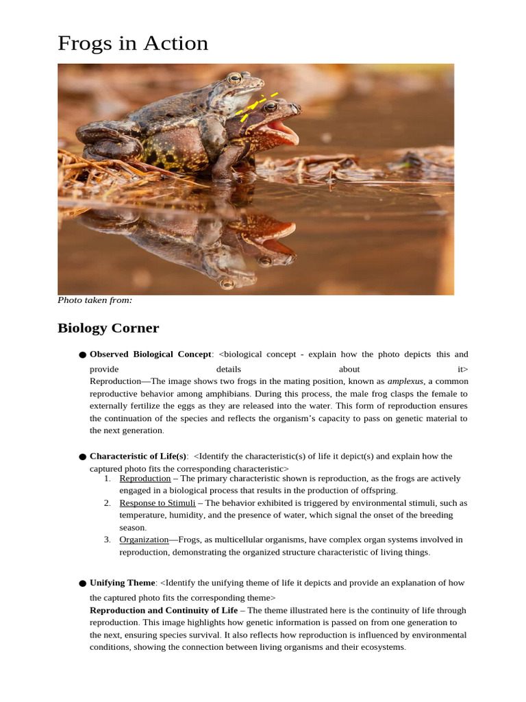 Copy of Sample Q1 AA Project Integration | PDF | Reproduction | Biology