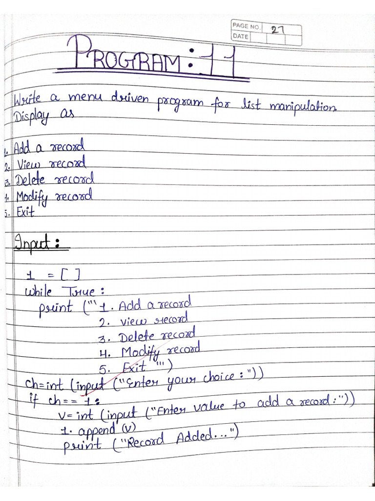 Class 11 Practical File | PDF
