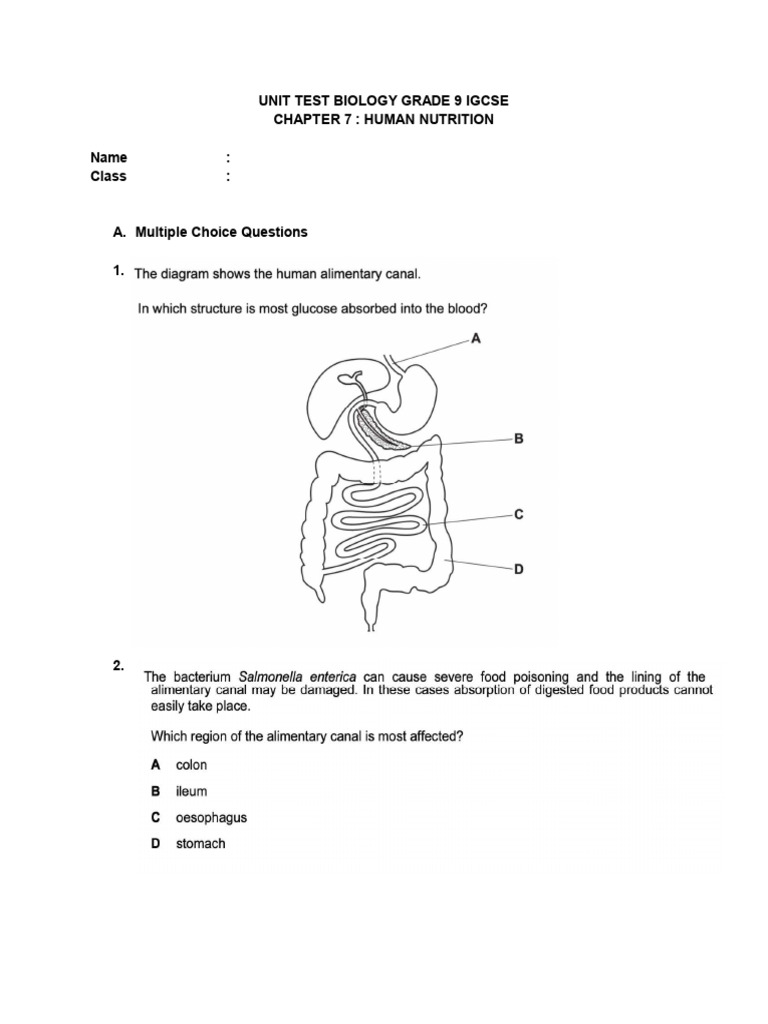 Quiz 7 - Human Nutrition | PDF