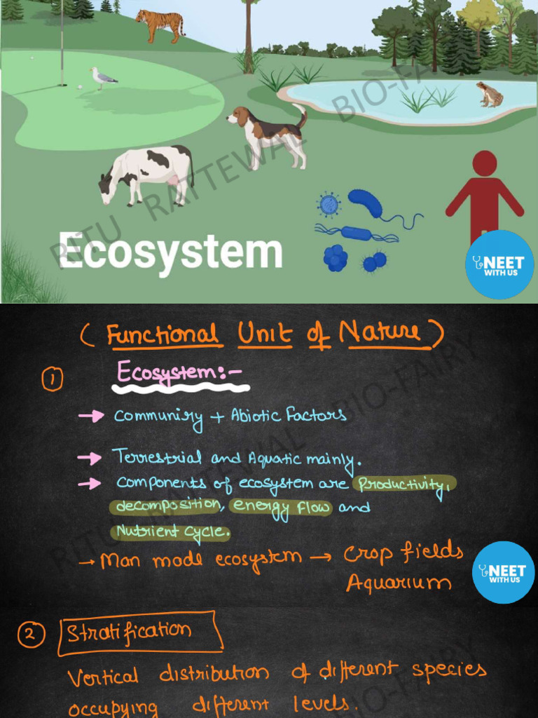ECOSYSTEM( iPad Notes)_compressed | PDF
