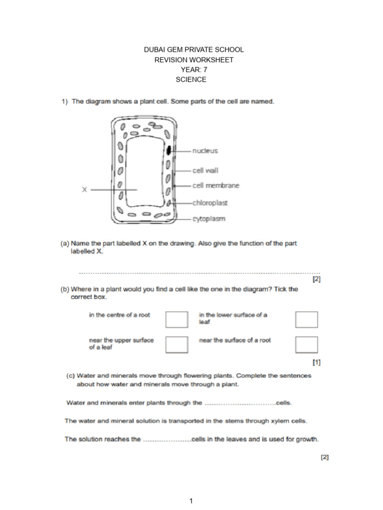 Year 7 Science FTE Revision Worksheet 1 | PDF