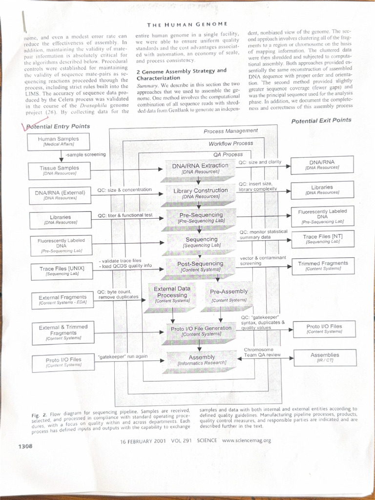 Research Paper | PDF
