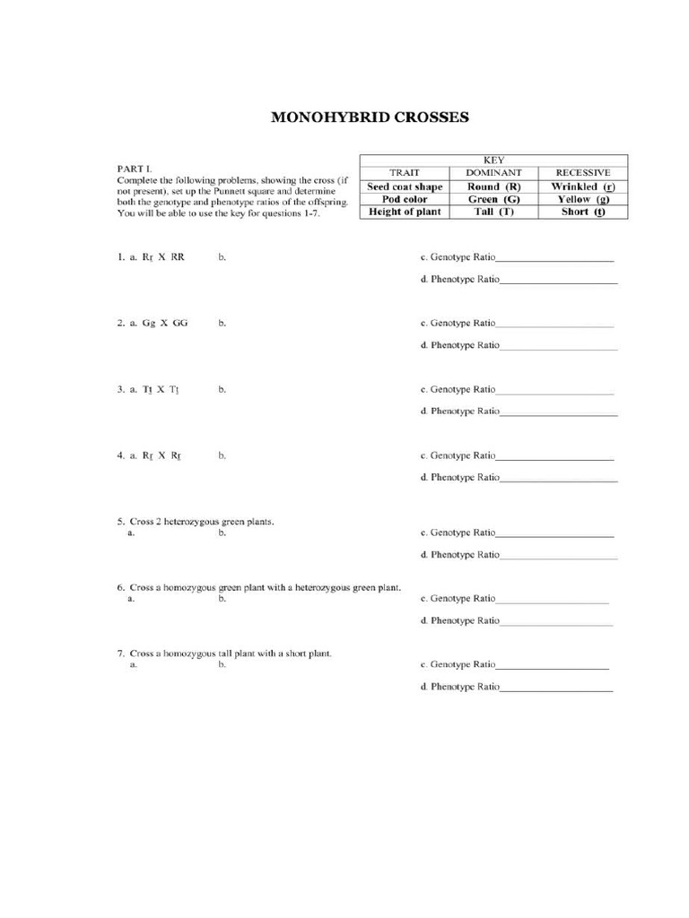 Test Cross Homework | PDF