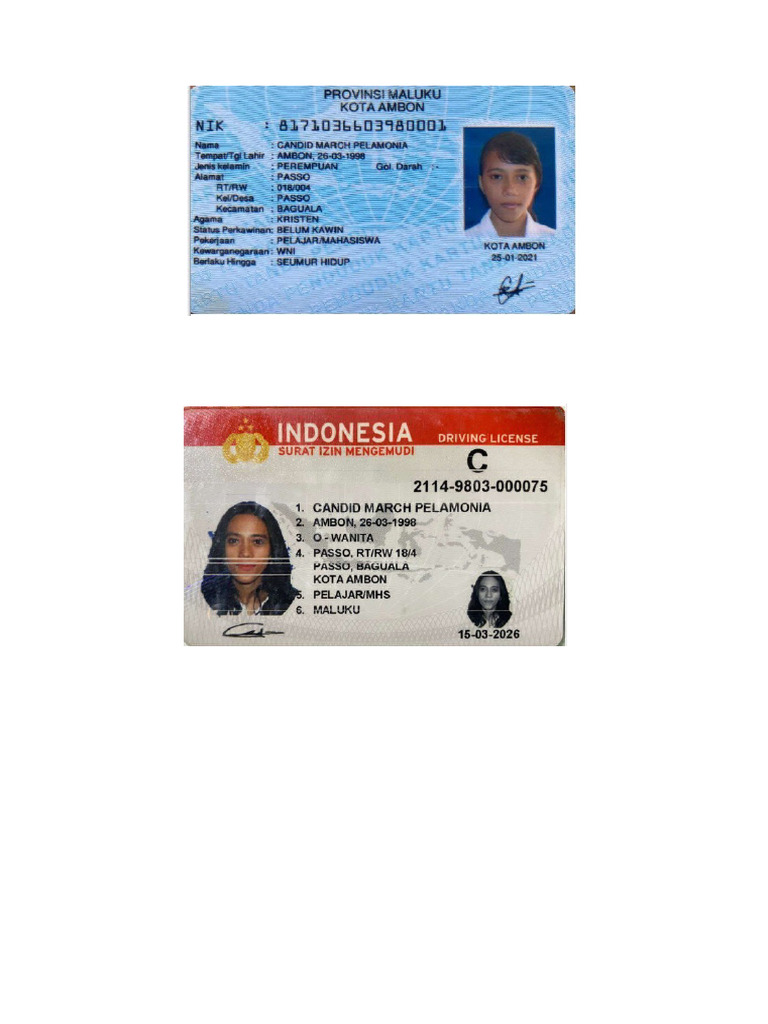 KTP Dan Sim | PDF