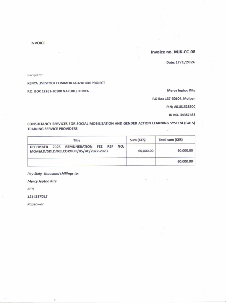 Mercy Invoice | PDF