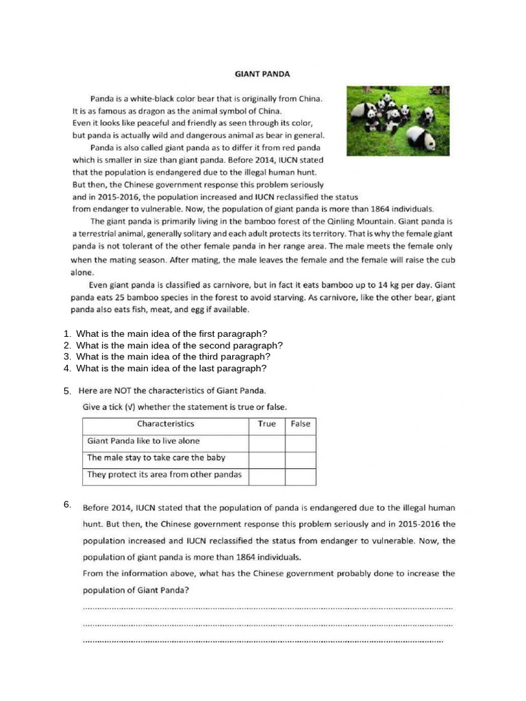 Worksheet Report Text 2 | PDF