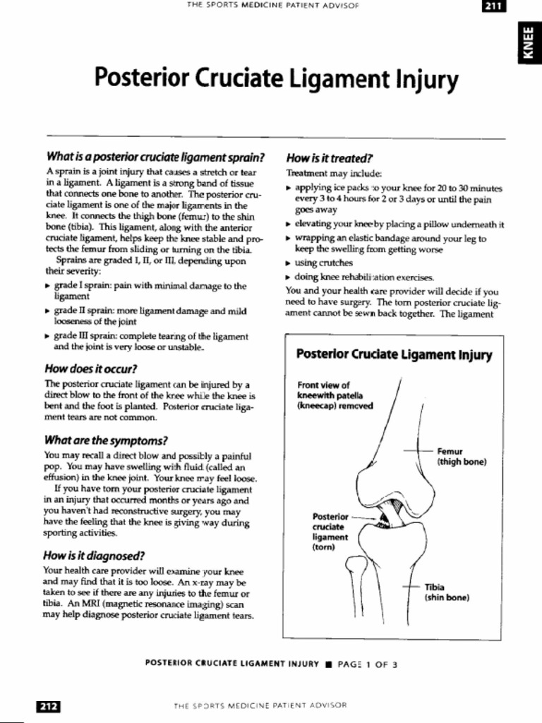 Knee PCL Posterior Cruciate Ligament Injury | PDF