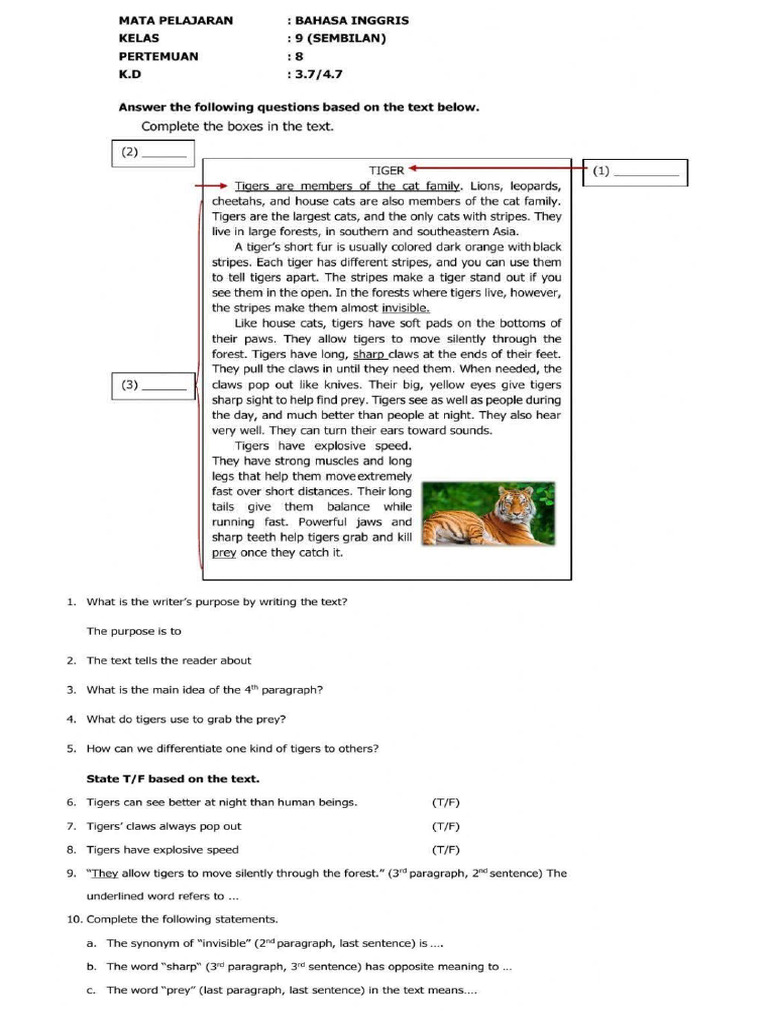 Worksheet of Report Text | PDF