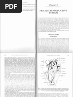 Duck Reproductive Anatomy Overview | PDF | Testicle | Ovary
