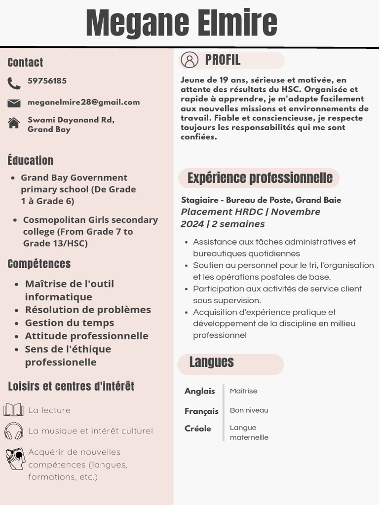 Copie de Curriculum Vitae CV Français Professionnel Simple Moderne Sans ...