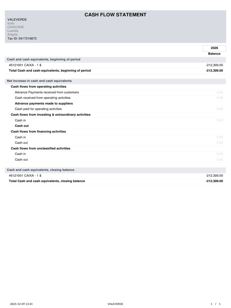Cash Flow Statement | PDF