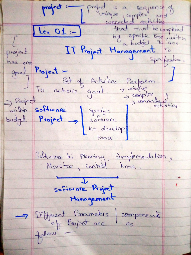 Week 1 IT Project | PDF